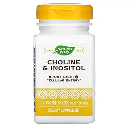 Холін та інозитол Nature's Way Choline & Inositol, 100 капсул для підтримки мозкової функції