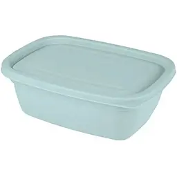 Контейнер харчовий MINT Banquet 0.55л пластик