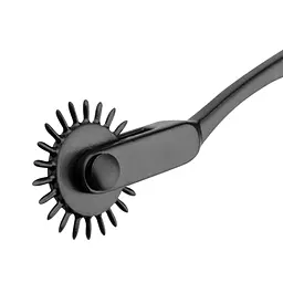 Колесо Вартенберга голчасте Bedroom Fantasies Aluminium Pinwheel - Black - мініатюра 4