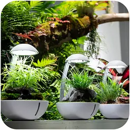 Мінітераріум Chihiros Tiny Terrarium Egg з LED-підсвіткою та керуванням через застосунок - мініатюра 3