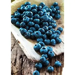Саджанець Agro-Market Лохина (чорниця садова) Бріджита Блю (Brigitta Blu) (пізній термін дозрівання) 1 шт. в упаковці (21310) - мініатюра 3