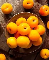 Саджанець Agro-Market Слива Пам'яті Вавілова (осінній сорт, пізній термін дозрівання) (39976) 1 шт. в упаковці - мініатюра 2