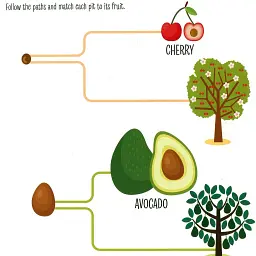 My First Book of the Vegetable Garden. Montessori: A World of Achievements - мініатюра 10