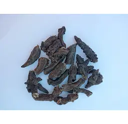 Ранник вузлуватий Корінь Підтинник Scrophularia nodosa