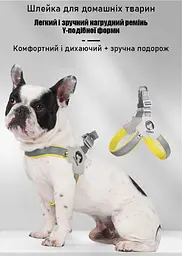 Шлея для собак Duomm, регульована нейлонова шлейка, S Сірий - мініатюра 4