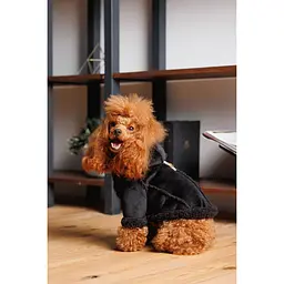 Дублянка для собак Pet Fashion S Black  - мініатюра 5