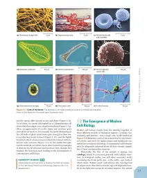 Becker's World of the Cell. 9th Global Edition - мініатюра 4