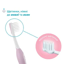 Дитяча зубна щітка Chicco для перших зубів, 6-36 міс. рожева (8058664174683) (12081.00) - мініатюра 3