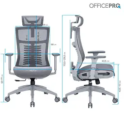 Офісне крісло OfficePro Balance OC620-G-DG-DG (OC620-G-DG-DG) - мініатюра 12