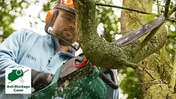 Ланцюгова пила Bosch Universal Chain 35 (0.600.8B8.303) - мініатюра 3