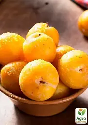 Саджанець Agro-Market Слива Жовта Афаска (літній сорт, середній термін дозрівання) 1 шт. в упаковці (39969) - мініатюра 2