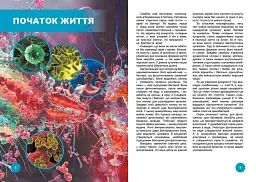 Хто з ким дружить, або дивовижі симбіозу - мініатюра 2