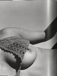 Ralph Gibson. Nude - мініатюра 2
