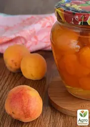 Саджанець Agro-Market Абрикос Робада (літній сорт, ранній термін дозрівання) 1 шт. в упаковці (39862) - мініатюра 2