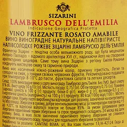 Вино Sizarini Lambrusco ігристе рожеве напівсолодке 8% 0.75 л (478691) - мініатюра 3
