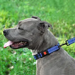 Повідець для собак Barksi Active 152х1.6 см синій - мініатюра 7