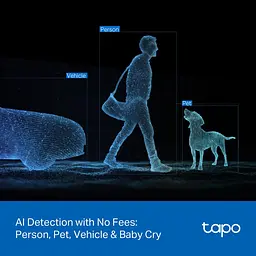 Камера IP з подвійним об'єктивом Tapo C246D 3MP N300 microSD motion detection TP-Link teh0015991 - мініатюра 10