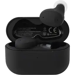 Навушники Final Audio TWS ZE300 Black (90404211) - мініатюра 1