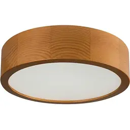 Світильник стельовий Kanlux Jasmin 270-G/O-Kanlux
