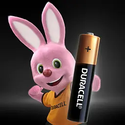 Лужні батарейки мізинчикові Duracell 1,5 V AAA LR03/MN2400, 2 шт. (706007) - мініатюра 2