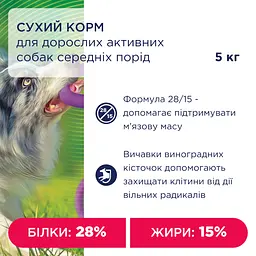 Сухий корм для дорослих активних собак середніх порід Club 4 Paws Premium Active 5 кг - мініатюра 4