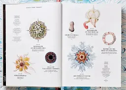 The Art and Science of Ernst Haeckel - мініатюра 3