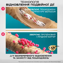 Шампунь OGX бонд відновлювальний з протеїнами 385 мл - мініатюра 5