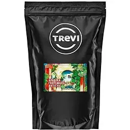 Кава в зернах Trevi Арабіка Гватемала Анті гуа 500 г
