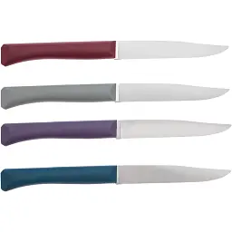 Набір ножів Opinel Bon Appetit Plus Galm - мініатюра 2