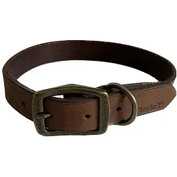 Нашийник для собак Coastal Rustic шкіряний 2.5х55см