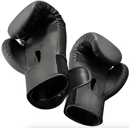 Боксерські рукавиці Hop-Sport HS-BG10 10oz чорні - мініатюра 10