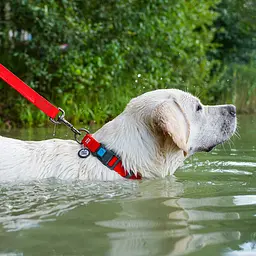 Нашийник для собак водостійкий Waudog Waterproof з QR-паспортом пластикова пряжка-фастекс Ш 25 мм Д 38-58 см червоний - мініатюра 5