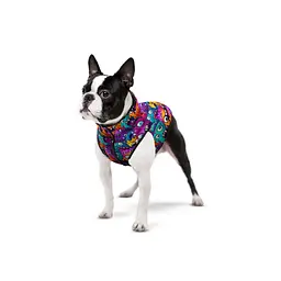 Курточка для собак Waudog Clothes Зубасті монстри XS30 - мініатюра 3