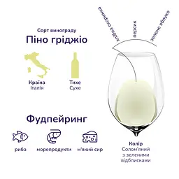 Упаковка вина I Castelli Pinot Grigio біле сухе 4.5 л (0.75 л х 6 шт.) - мініатюра 4