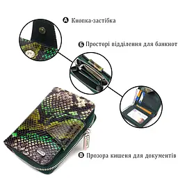 Жіноче фактурне вертикальне портмоне з монетницею на блискавці з натуральної шкіри з тисненням під змію Canpellini 21732 різнокольорове - мініатюра 8