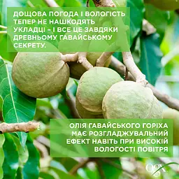 Шампунь OGX Kukuí Oil Зволоження та гладкість, з олією гавайського горіха 385 мл - мініатюра 7