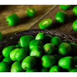 Саджанець Agro-Market Актинідія Київська великоплідна (міні-ківі, морозостійкий сорт, пізній термін дозрівання) 1 саджанець (44815) - мініатюра 2