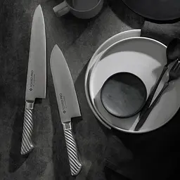 Ніж шеф-кухаря Tojiro PRO DP 3Layered by VG10 Chef (F-889) - мініатюра 2