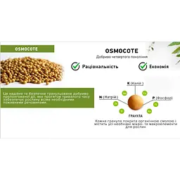 Тверде добриво Substral Osmocote для газона 1.5 кг (1229101) - мініатюра 2