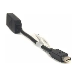 Перехідник PowerPlant mini DisplayPort (Thunderbolt) M — DisplayPort F 0.2m (CA910472) - мініатюра 2
