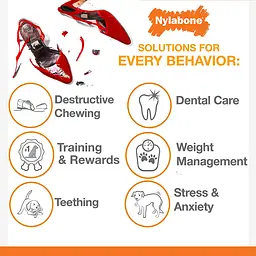 Іграшка для жування Nylabone Puppy Chew Toys для цуценят до 11 кг - мініатюра 3