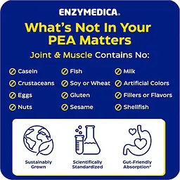 Здоров'я суглобів та м'язів Enzymedica Joint & Muscle PEA Phytosome 45 веганських капсул - мініатюра 3