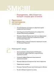Сховане мистецтво. Есеї, розмови, коментарі - Діана Клочко - мініатюра 3