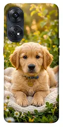TPU чохол Demsky Small labradore для Oppo Reno 8 T 4G