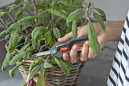 Ножиці для трав і квітів Gardena FreshCut Set (12212-36) - мініатюра 2