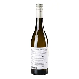 Вино iгристе Daniele Saccoletto Moscato EVViva, 0,75 л, 5% (707743) - мініатюра 4