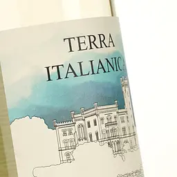 Вино Terra Italianica Bianco Amabile, біле, напівсолодке, 10,5%, 0,75 л - мініатюра 4