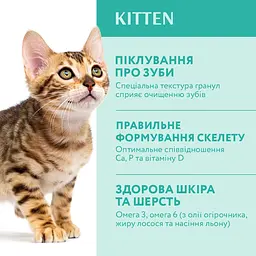 Сухий корм для кошенят Optimeal з куркою 4 кг (B1840901) - мініатюра 2