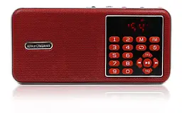 Потужний цифровий портативний FM радіоприймач USB/MP3 N2020 - мініатюра 6