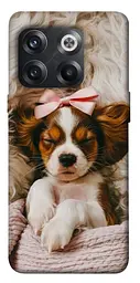 TPU чохол Demsky Sleepy spaniel для OnePlus 10T